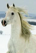 Sandandaj Titelbild