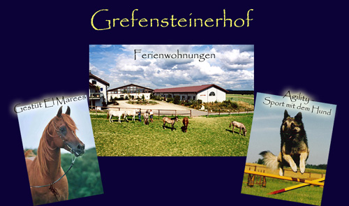 Link zum Grefensteinerhof